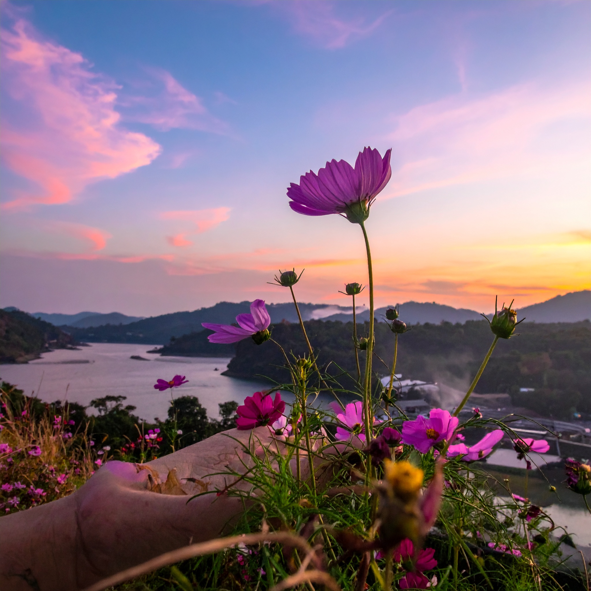 イシリス体験会